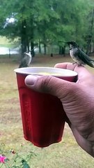 Sharing a drink with my friends