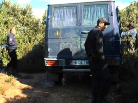 VLORE,KAPEN 2 TONE KANABIS OPERACIONI SHEN VASILI 2014 , POLICIA ARRESTON 7 PERSONA LAJM