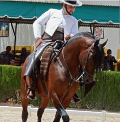 Rafael Arcos González y "Elegido 50%"