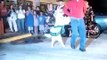 Dog dancing the Merengue ORIGINAL