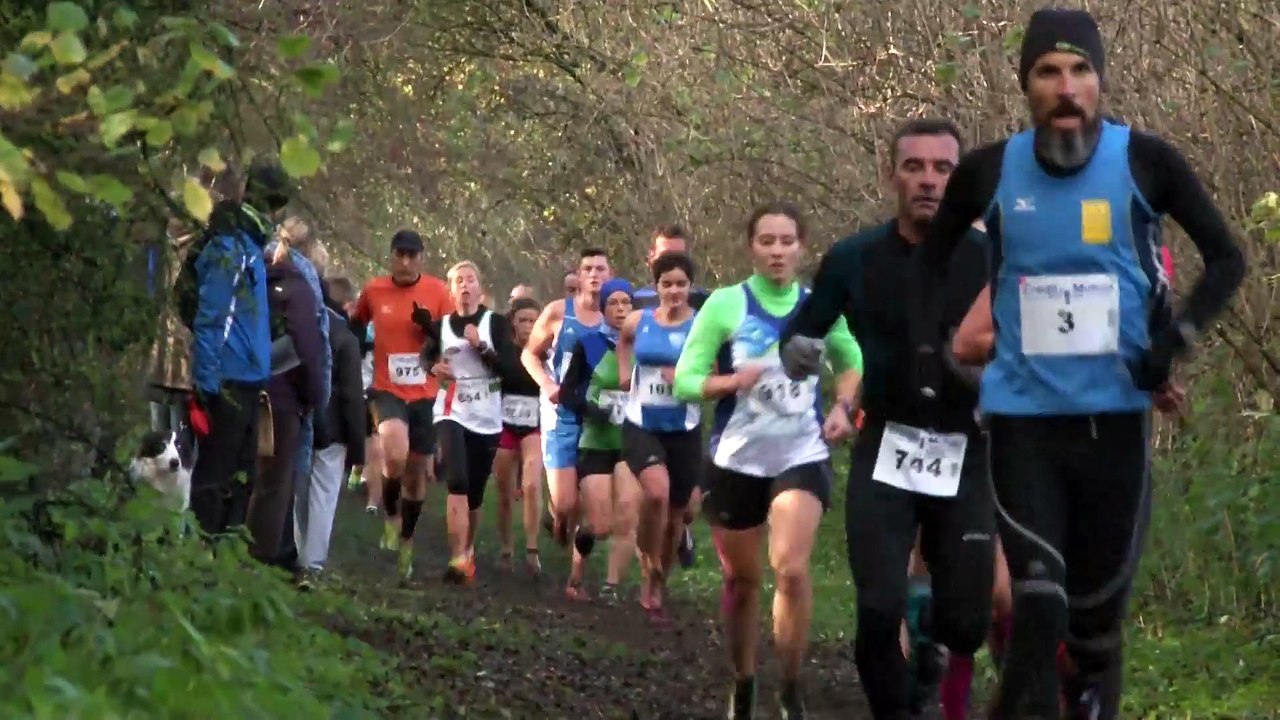 Cross du Jogging Club de Harnes 22/11/2015