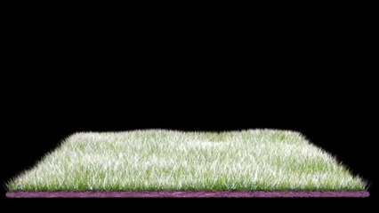 O MEU CÃO NÃO LATIR! BRINCADEIRA