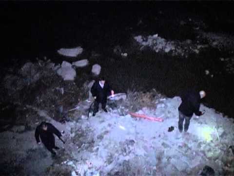 ATENTATI NE MILOT 10 TE SHOQERUAR PER VRASJEN E DYFISHTE ASNJE I NDALUAR LAJM