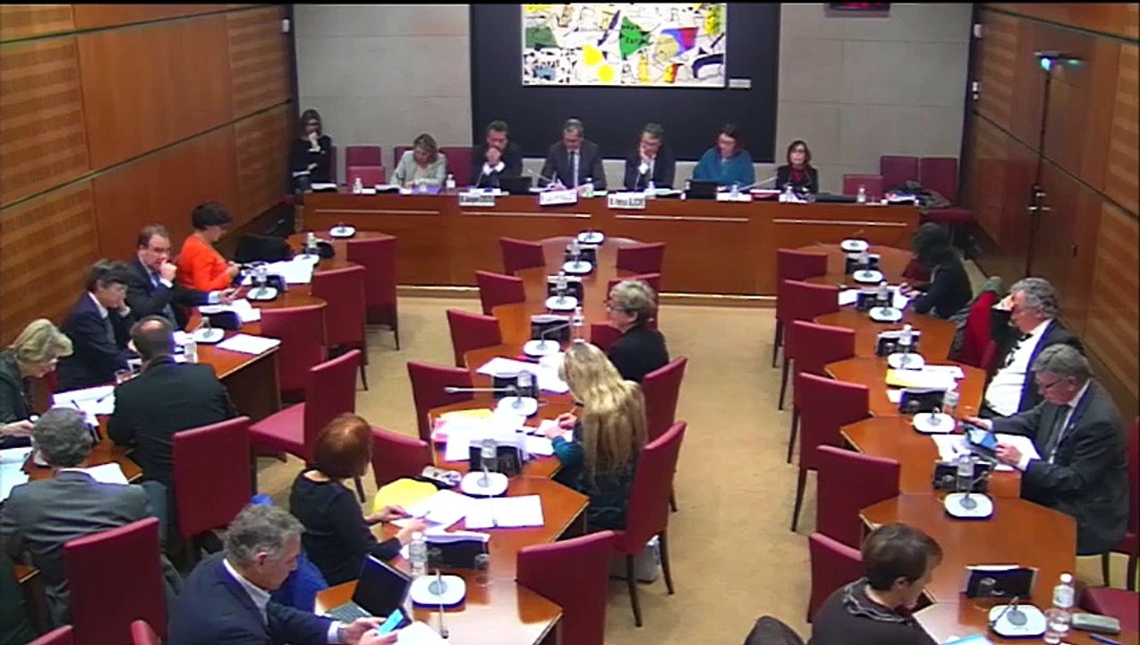Intervention en Commission lors de l'audition de Laurent Vallet, Président de l'INA