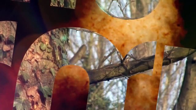 The Airgun Show – night rat shooting, PLUS the FX Indy on test