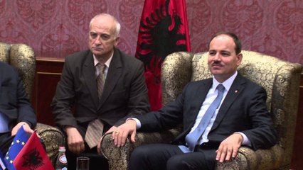 VENIZELLOS, VIZITE DY DITORE NE TIRANE