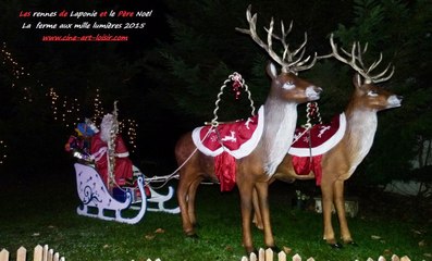 Ciné Art Loisir the enchanted world of the farm with a thousand lights 2015 by JC Guerguy