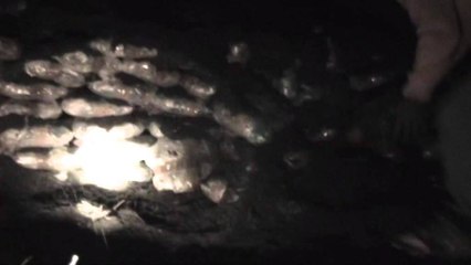 KAMION ME 1 TON DROGE NGA LAZARATI