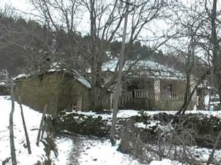 FSHATI ME NJE FAMILJE KRUSHOVA NE KORÇE KREJTESISHT E BRAKTISUR NGA BANORET LAJM