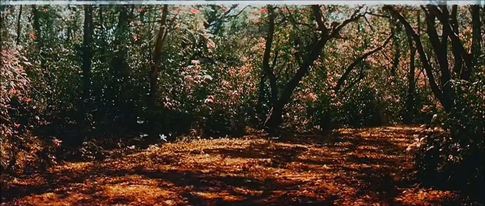 Dheere Dheere Aap Mere - Baazi - 720p HD