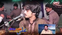 Singer Muhammad Basit Naeemi Shadi Singer Shehzad Sheikh roog Muabataan da