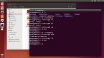 Linux Tutorial for Beginners - 5 - Navigating and Working with Files