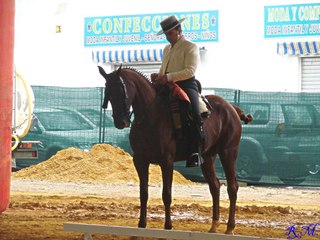 Rafael Arcos González y "Bambi"