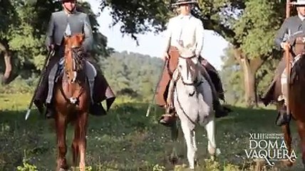 La dehesa el origen de todo.