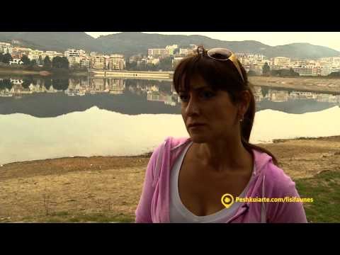Fisi I Faunes - Sezoni 2 Episodi 2