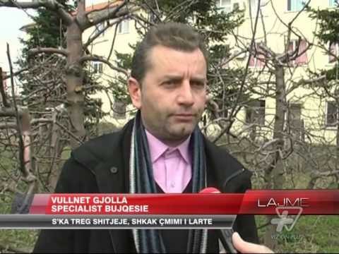 Korçë, mijëra ton mollë mbeten stok - News, Lajme - Vizion Plus