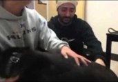 Missing Dog Overjoyed to Be Reunited With His Owner 2 Years Later (Part 2)