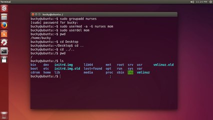 Linux Tutorial for Beginners - 13 - Groups and More