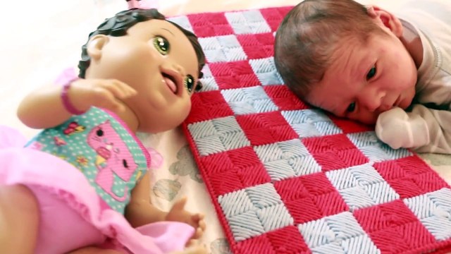DAY IN THE LIFE AllToyCollector Newborn Baby Eli Baby Alive Dolls Diapers Fun Kids Toys Video VLOG