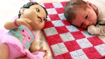DAY IN THE LIFE AllToyCollector Newborn Baby Eli Baby Alive Dolls Diapers Fun Kids Toys Video VLOG