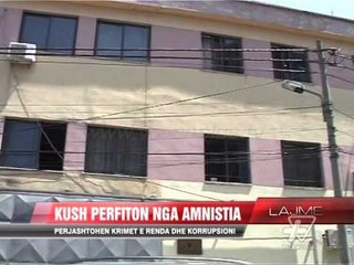 Kush përfiton nga amnistia - News, Lajme - Vizion Plus