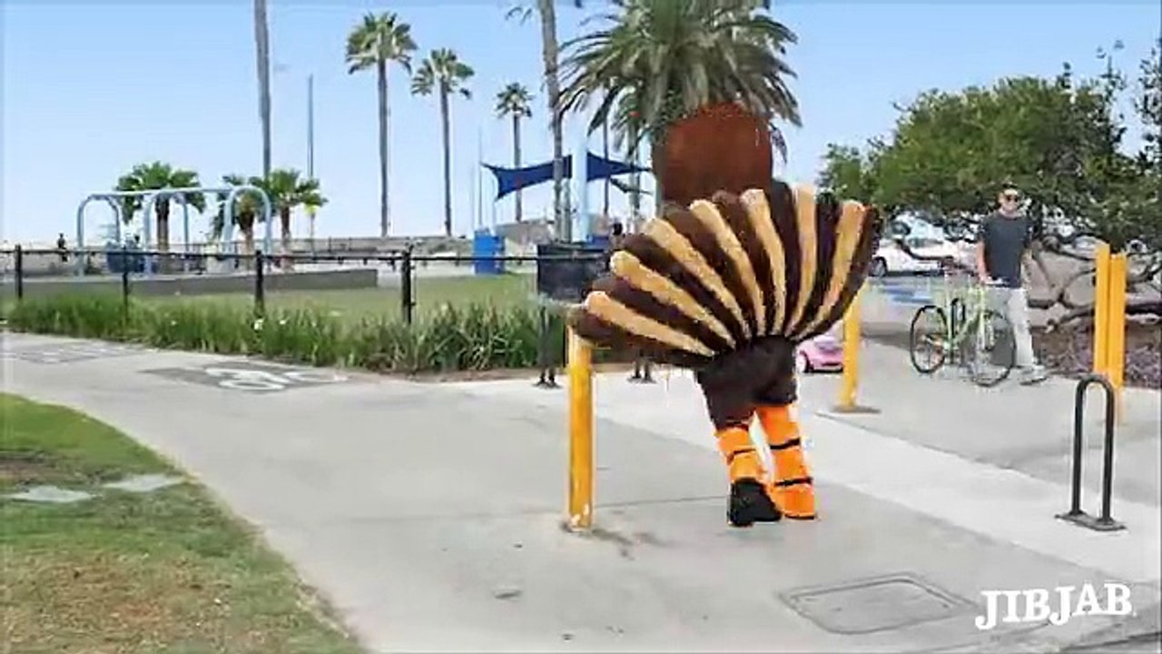 Happy Bird Day
