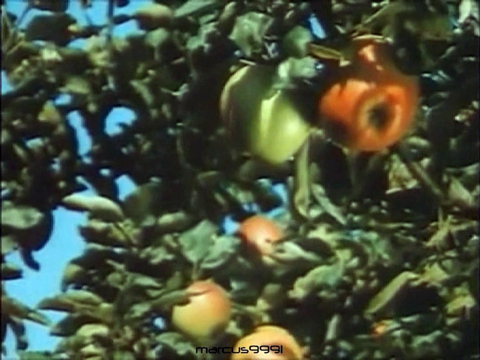 Passion - Apfellied (Discofilm 1981)