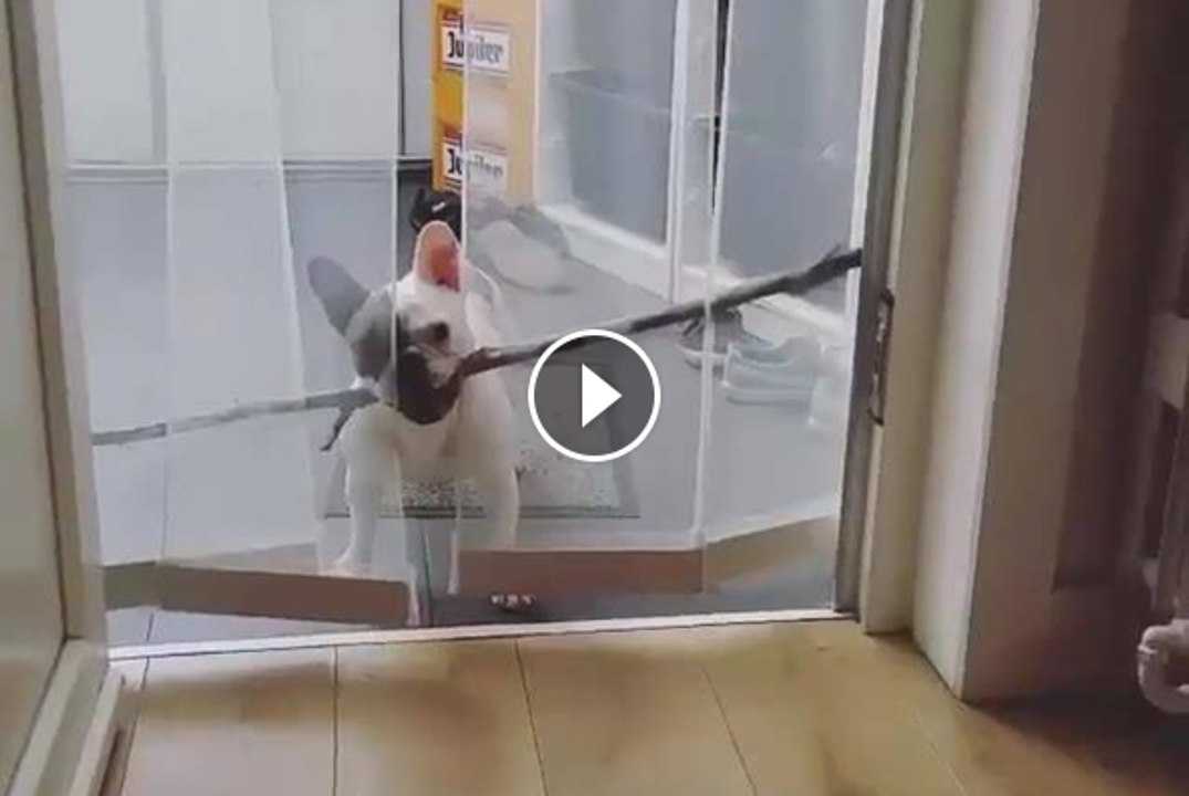 ''Help please?''
