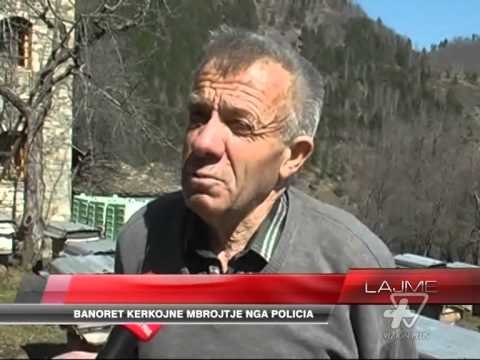 Grabiten shtëpitë në Dardhë - News, Lajme - Vizion Plus