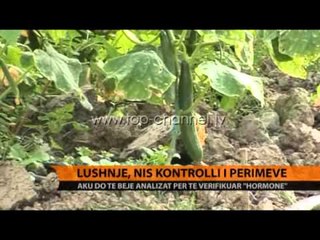 Lushnjë, nis kontrolli i perimeve - Top Channel Albania - News - Lajme