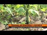 Lushnjë, nis kontrolli i perimeve - Top Channel Albania - News - Lajme