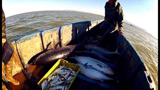 Tring Promo|Ne Gjurmet e Peshkut Sezoni 2|e diel ora 21:00 ne Living|Kanali 102