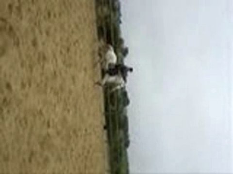 Orage, Ecuries du bout du monde, Mai 2007