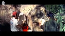 Jurassic Park | Cinema Secrets