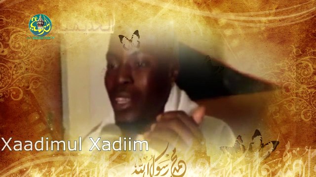 Magal 2015: Ni Serigne Touba Diglée Magal gui