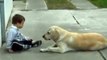 Sweet Mama Dog Interacting with a Beautiful Child with Down Syndrome Jim Stenson