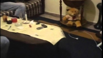 RRITEN NUMRI I PERDORUESVE TE DROGES