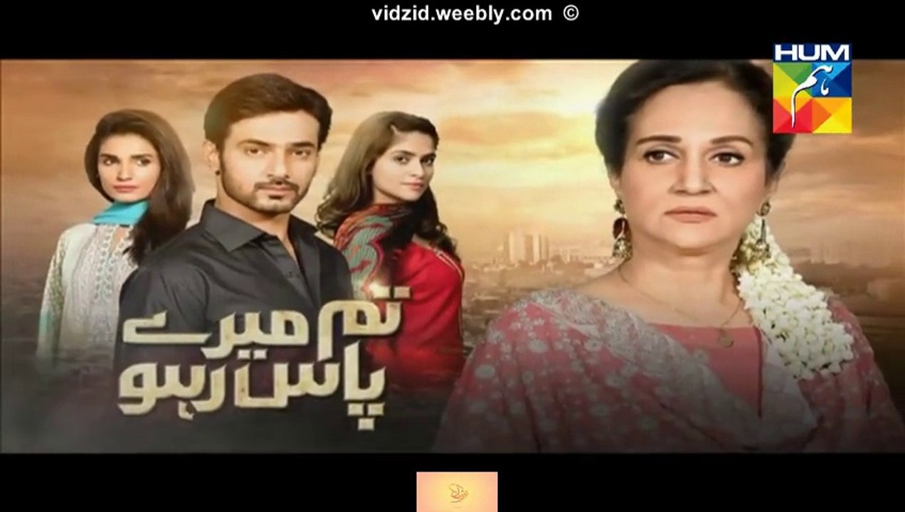 Tum Mere Paas Raho Hum Tv Drama Episode 19 Full (25 November 2015)