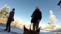 Chien qui filme le mariage de ses maîtres avec sa GoPro