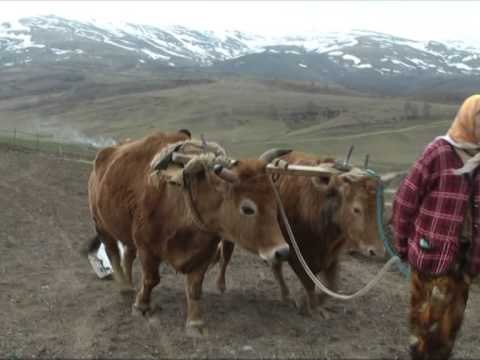 TOKA PUNOHET ME PARMENDE FERMERET NE KUKES THONE SE NUK PERBALLOJNE DOT SHPENZIMET LAJM