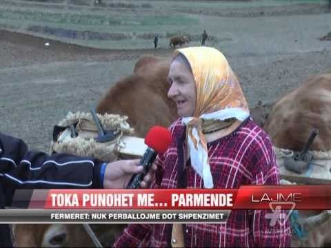 Toka punohet ende me parmendë - News, Lajme - Vizion Plus