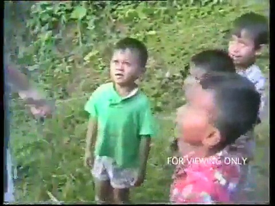 World Funniest Video Clips