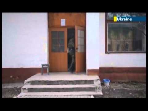 LIROHEN USHTARET 6 USHTARET UKRAINAS TE ARRESTUAR NE KRIME LIROHEN NGA RUSET LAJM