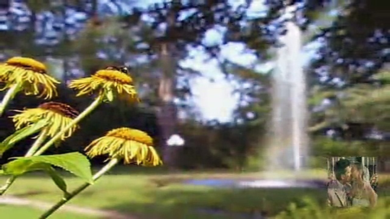 tda 2