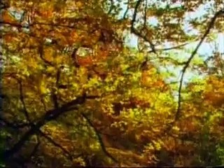 Emin misin ?Ayhan Büyükdere