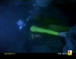 baywatch brooke scuba diving