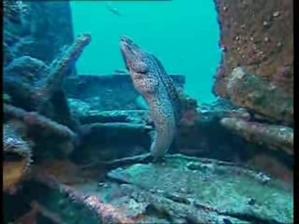 Les Péniches d'Antheor