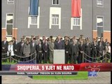 Shqipëria, 5 vjet në NATO - News, Lajme - Vizion Plus