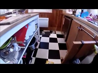 Il était sur le point de punir son chien, mais face à la situation dans laquelle il l'a trouvé, il oublie la punition