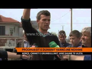 Prodhuesit e duhanit kërkojnë ndihmë - Top Channel Albania - News - Lajme